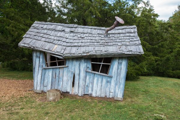 Shed Demolition in Florence